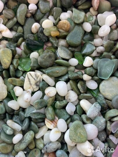 Камни, камешки и раковины устриц с Черного моря