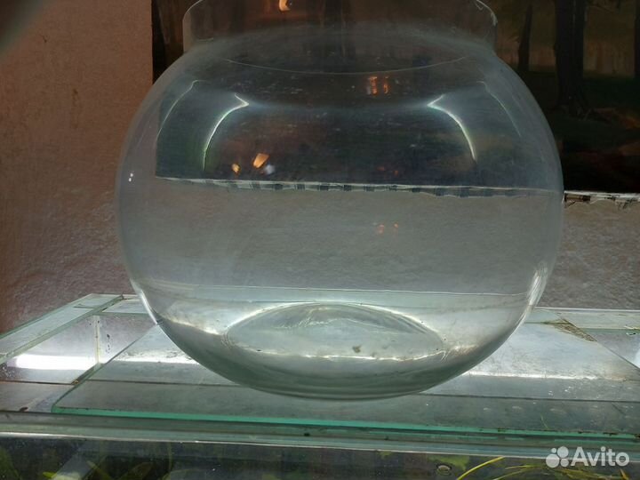 Аквариум круглый