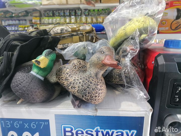 Гусиные профиля