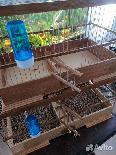 Клетки для канареек и певчих птиц