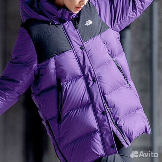 THE north face Urban Exploration Down Jacket Women's Purple (L)(15)