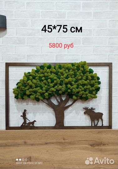 Панно и кашпо с стабилизированным мхом