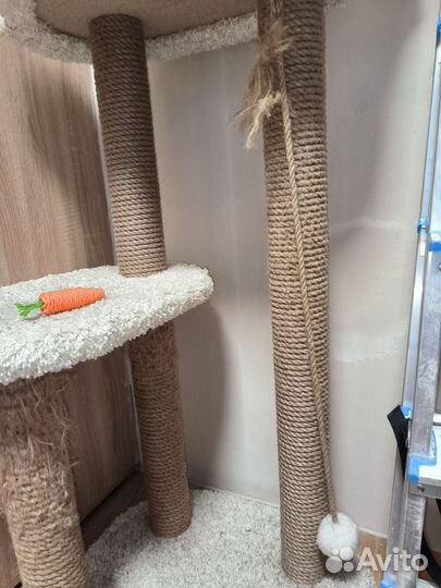 Когтеточка