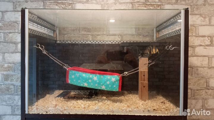 Витрина Клетка для грызунов бу