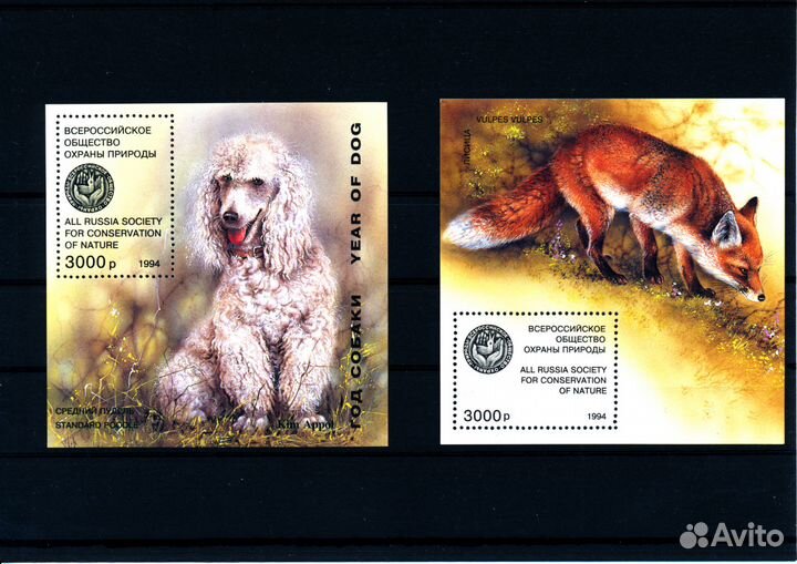 Россия, 1994. Блок Лисица