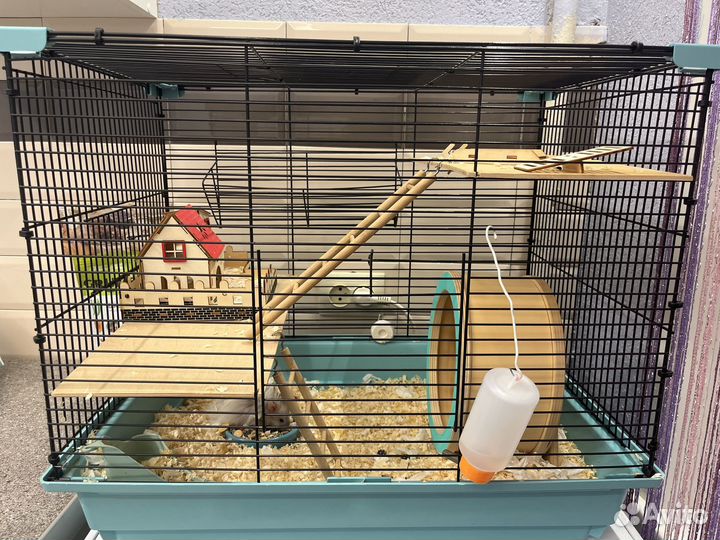 Клетка для грызунов с хомяками