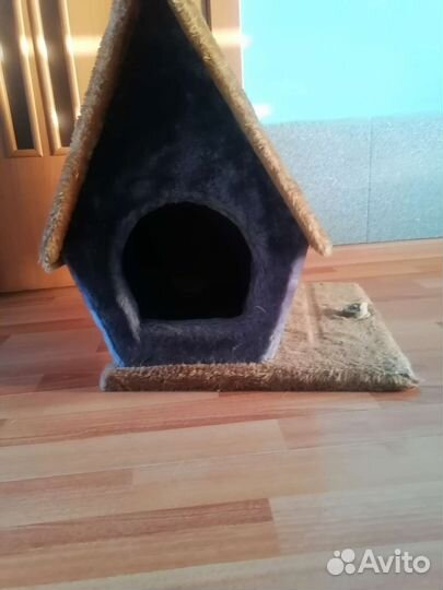 Кошачий дом