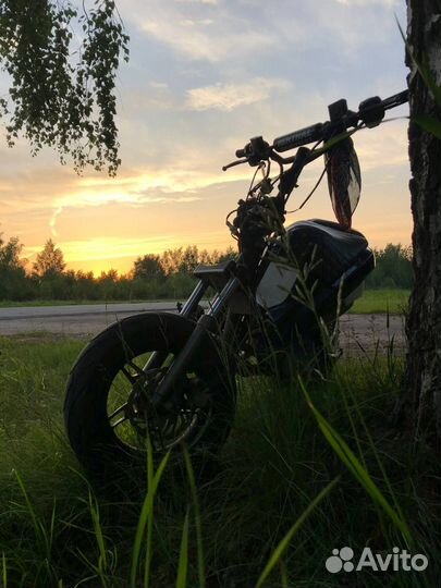 Stels arrow benelli 50