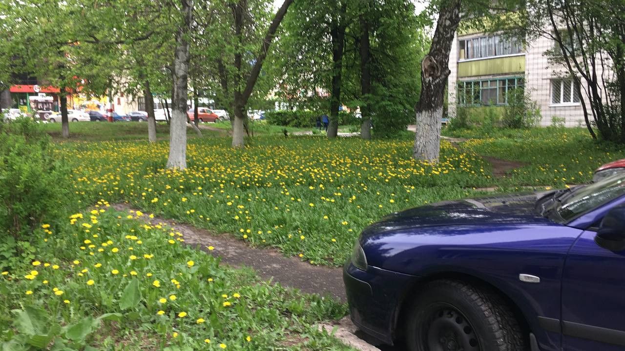 Mitsubishi Carisma: фото владельца
