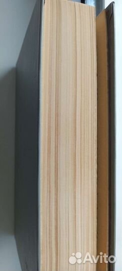 Исай Калашников. Жестокий век