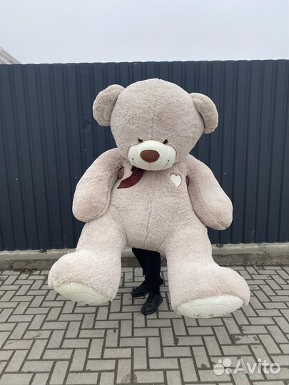 Большой Плюшевый медведь