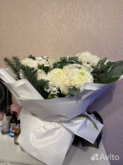 Хризантема