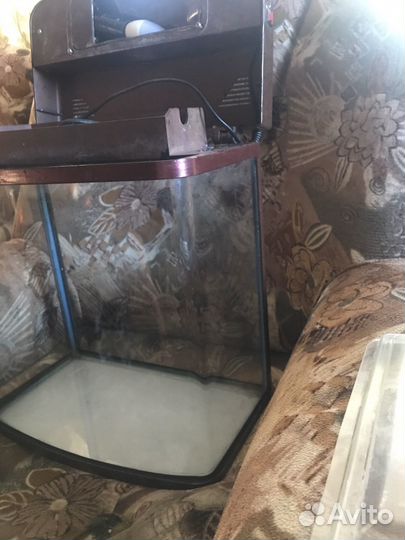 Аквариум террариум