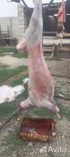 Мангал для шашлыка