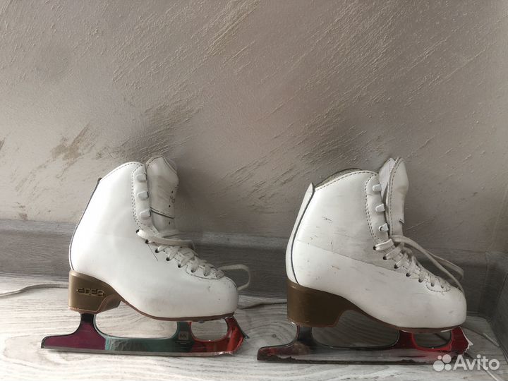 Фигурные коньки edea motivo 190