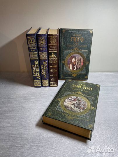 Художественные книги твердый переплет классика