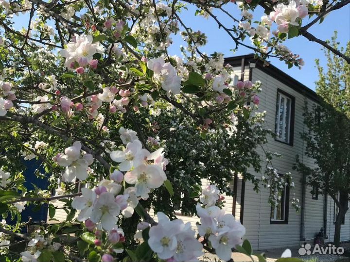 Отдых в Цандрыпше