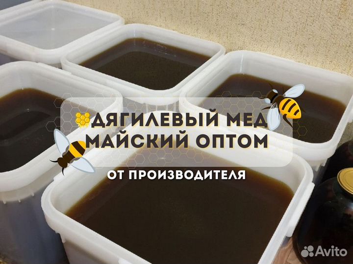 Дягиль свежий, только оптом