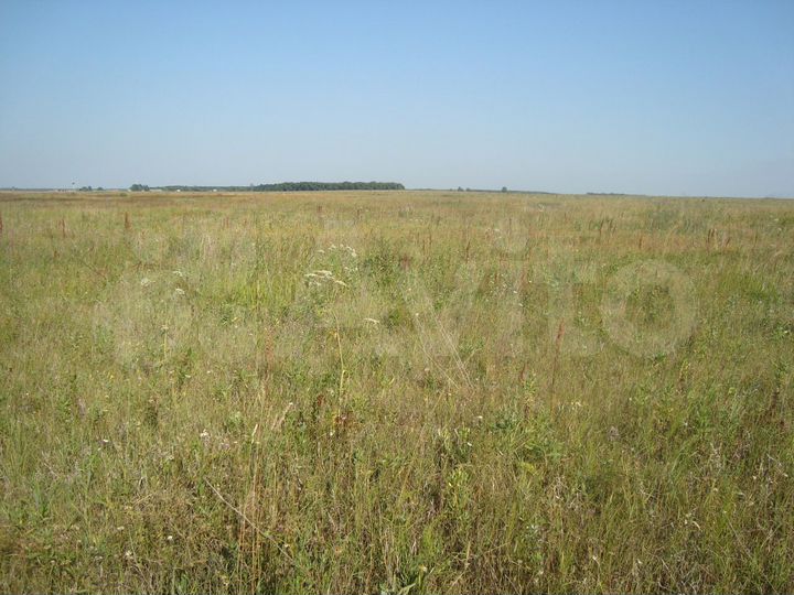 Участок 2,45 га (СНТ, ДНП)