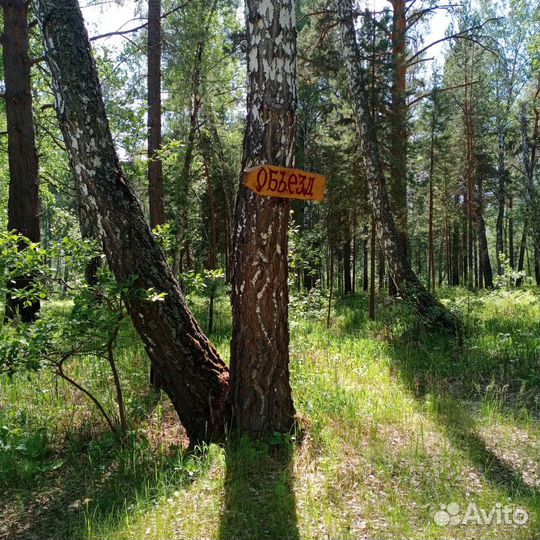 База отдыха 