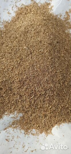 Сухая пивная дробина