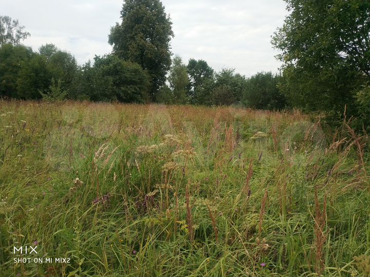 Участок 80 сот. (ИЖС)