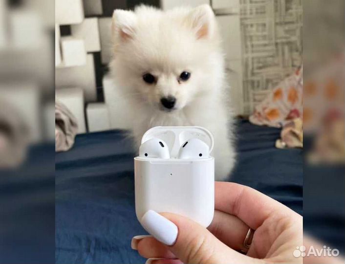 AirPods 2