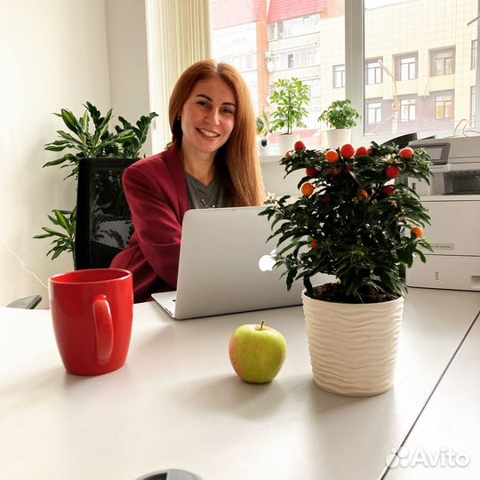 Организатор мероприятий, event, координатор