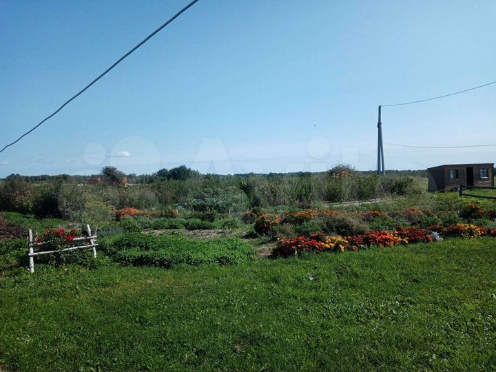 Участок 25 га (СНТ, ДНП)