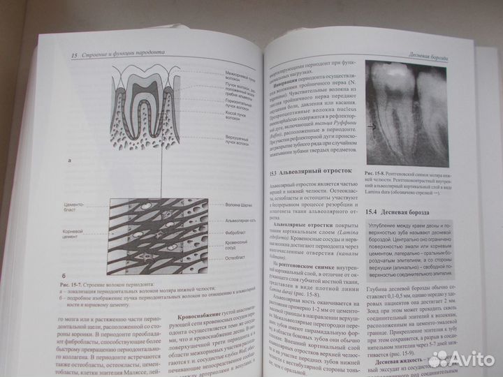 Терапевтическая стоматология 1999 г