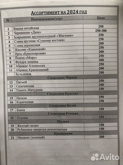 Продаём Саженцы