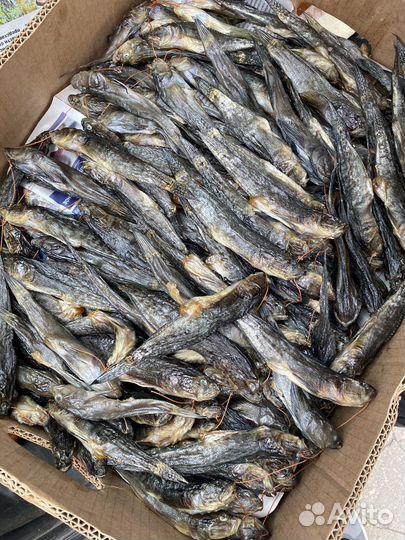 Бычок вяленый азовский, калкан вяленый азовский