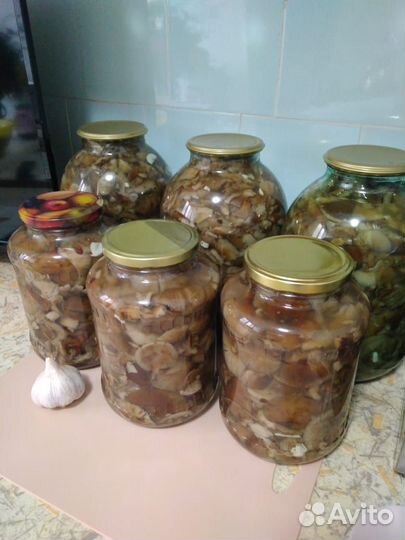 Опята маринованные