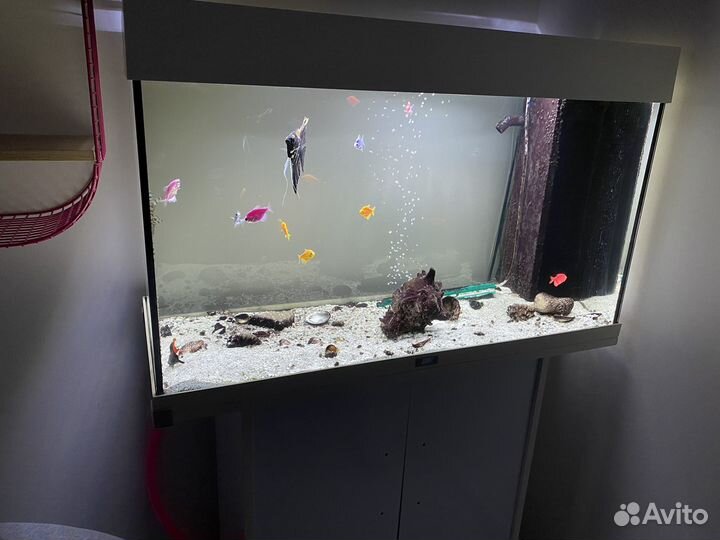 Аквариум juwel rio 125