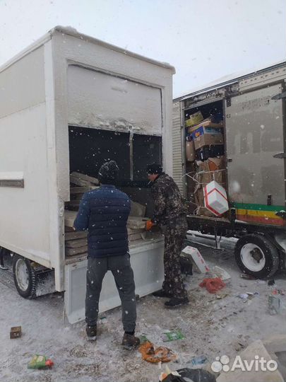 Грузоперевозки/Грузчики