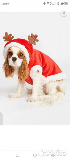 Одежда для собак и кошек новая