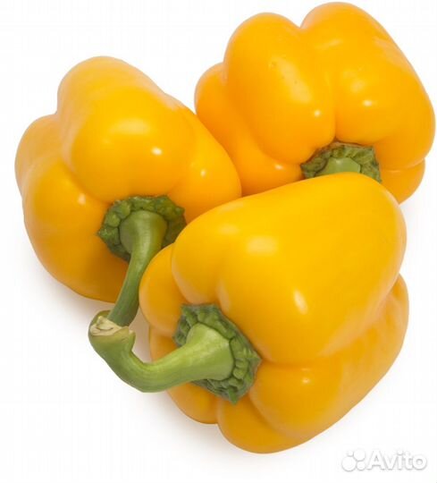 Семена сладкого перца