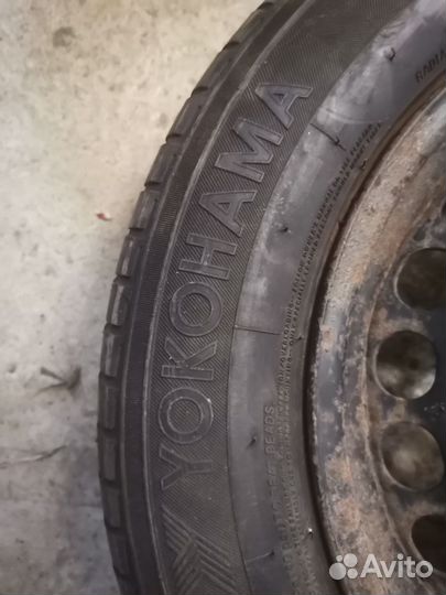Gislaved Euro Frost 5 195/65 R15