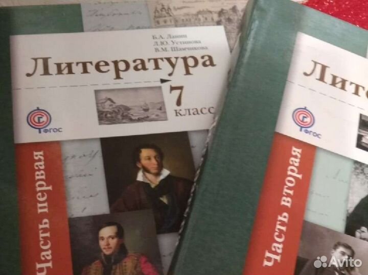 Литература. 7 класс. 2 части. Ред.Б.Ланин