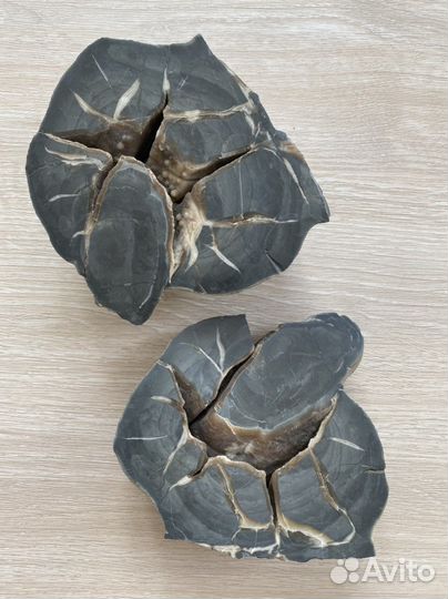 Септарии агат, кальцит половинки и срезы