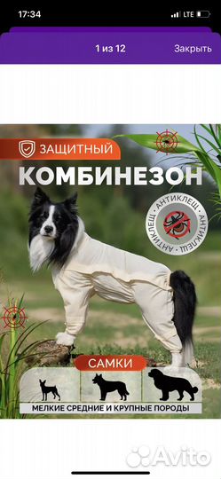 Защитный комбинезон для собаки