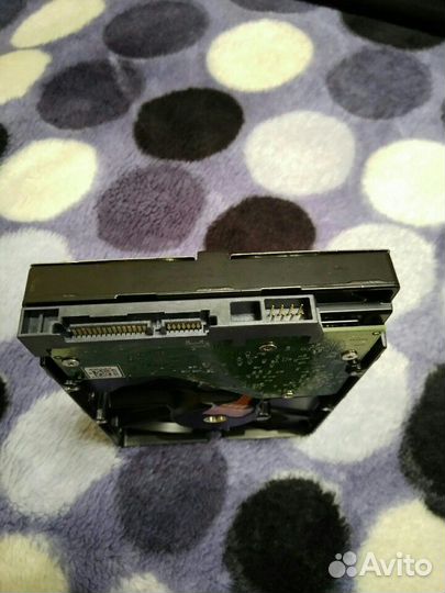 Жесткий диск WD blue 1TB