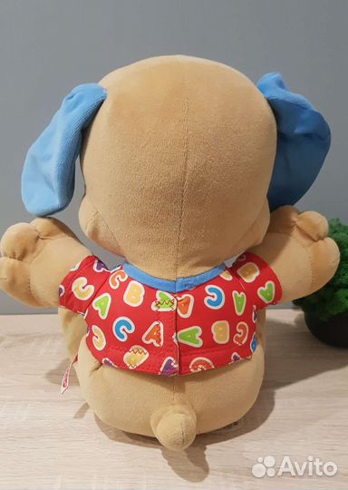 Учёный Щенок