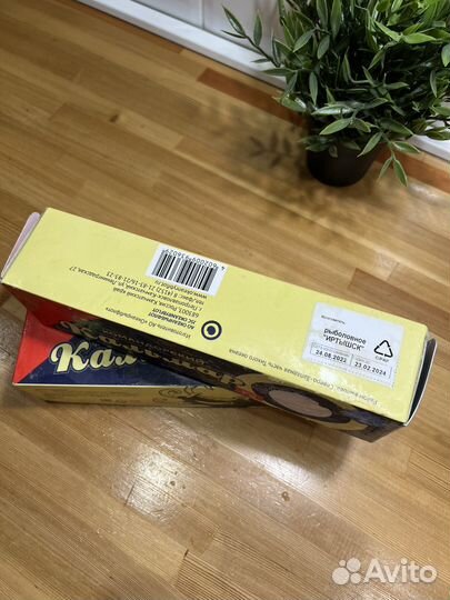 Кальмар командорский, осьминог