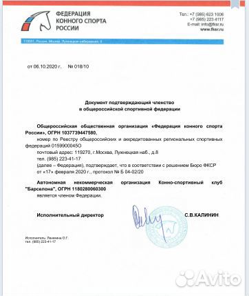 Объявляется набор на обучение и занятие конным спо