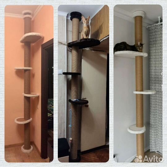 Когтеточка пол-потолок