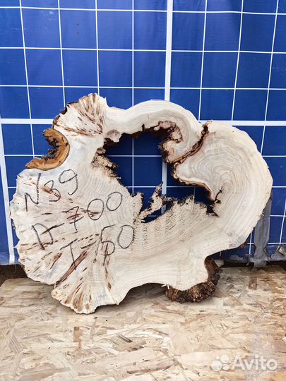 Спил капового карагача