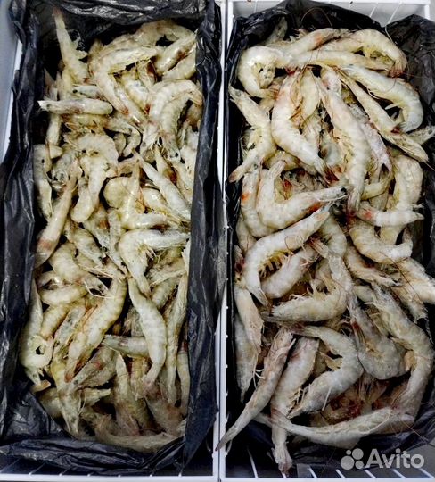 Креветки королевские, Лангустины, Рыба(вяленая)