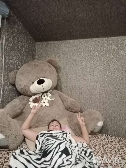 Плюшевый медведь огромный