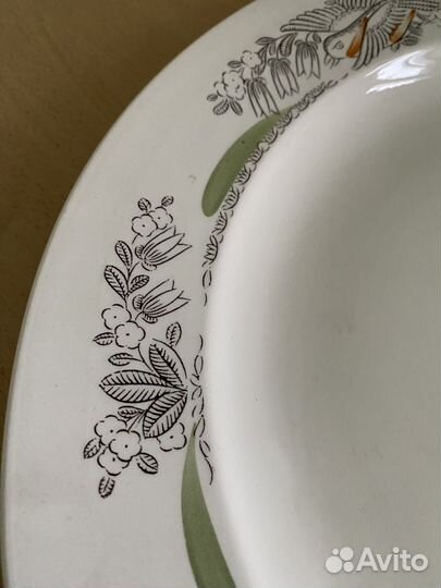 Тарелка зик